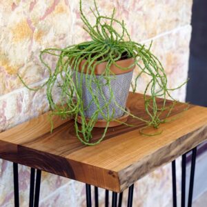 il_fullxfull.6754788277_dgyc.jpg Live Edge Walnut End Table: Rustic Modern Accent Furniture